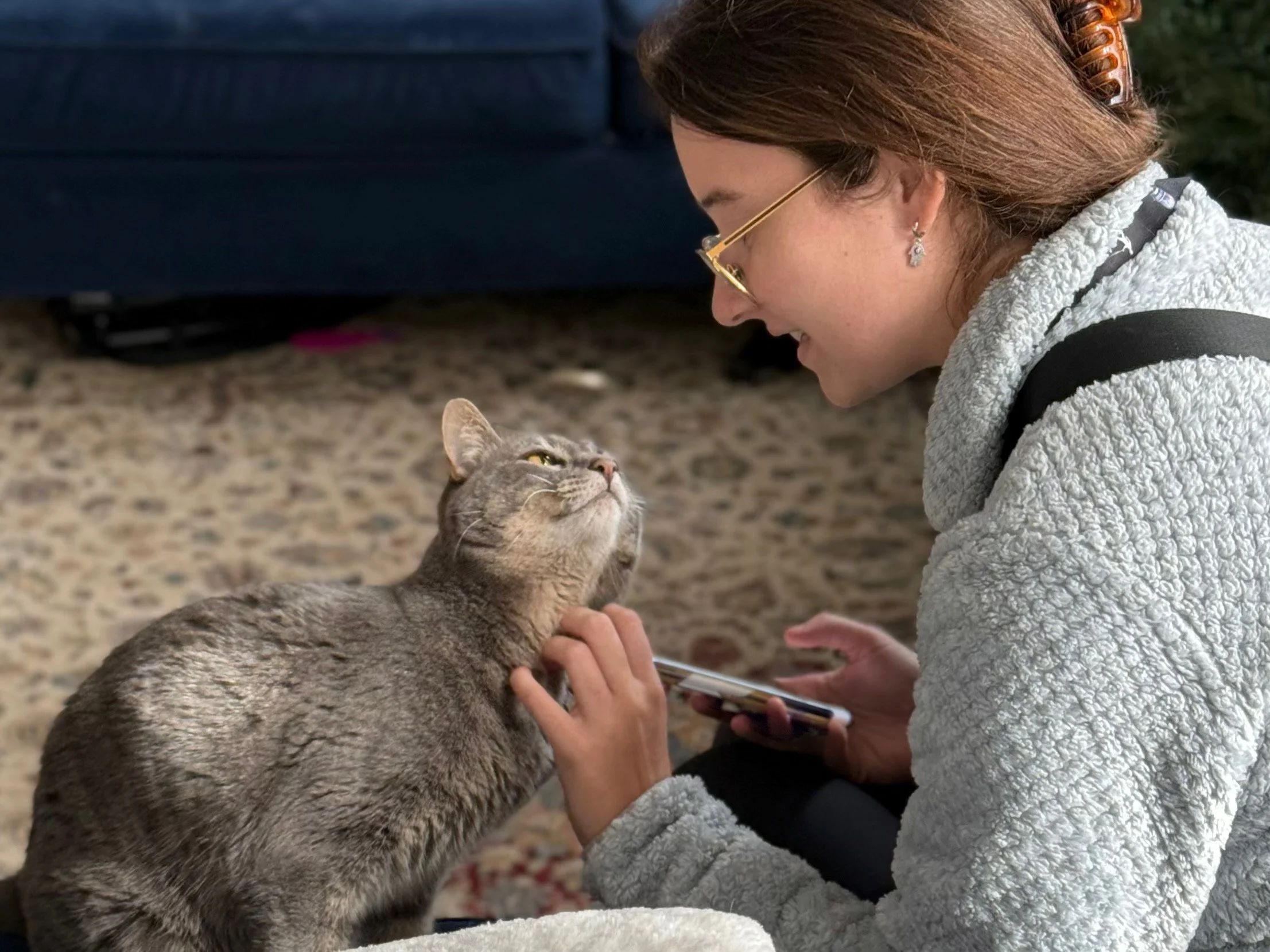 Atlanta pet sitting and cat sitting, in home pet care, GPS tracked visit reports, Mount Paran, Buckhead