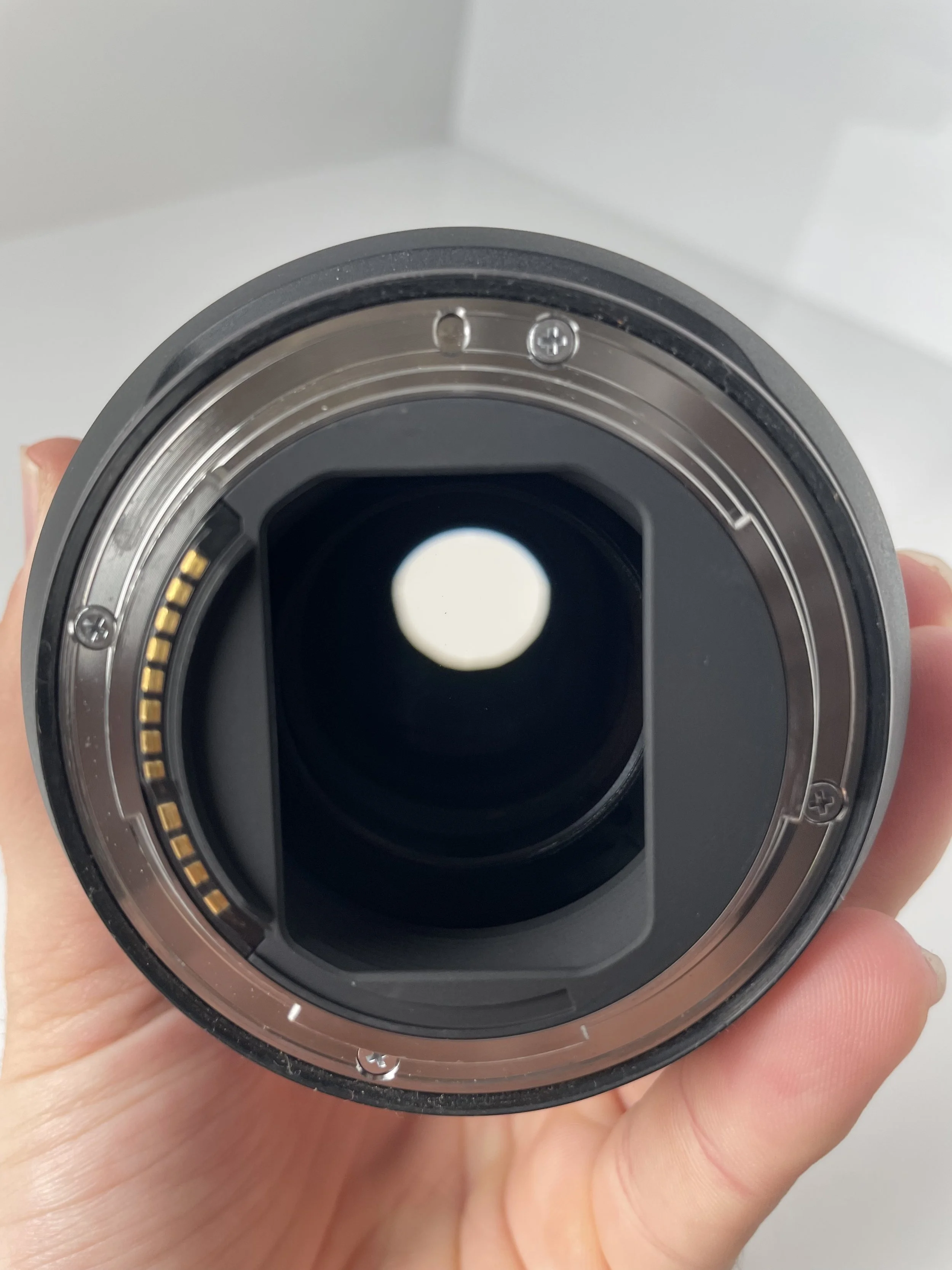 Canon RF 24–105mm f/4L, rear mount