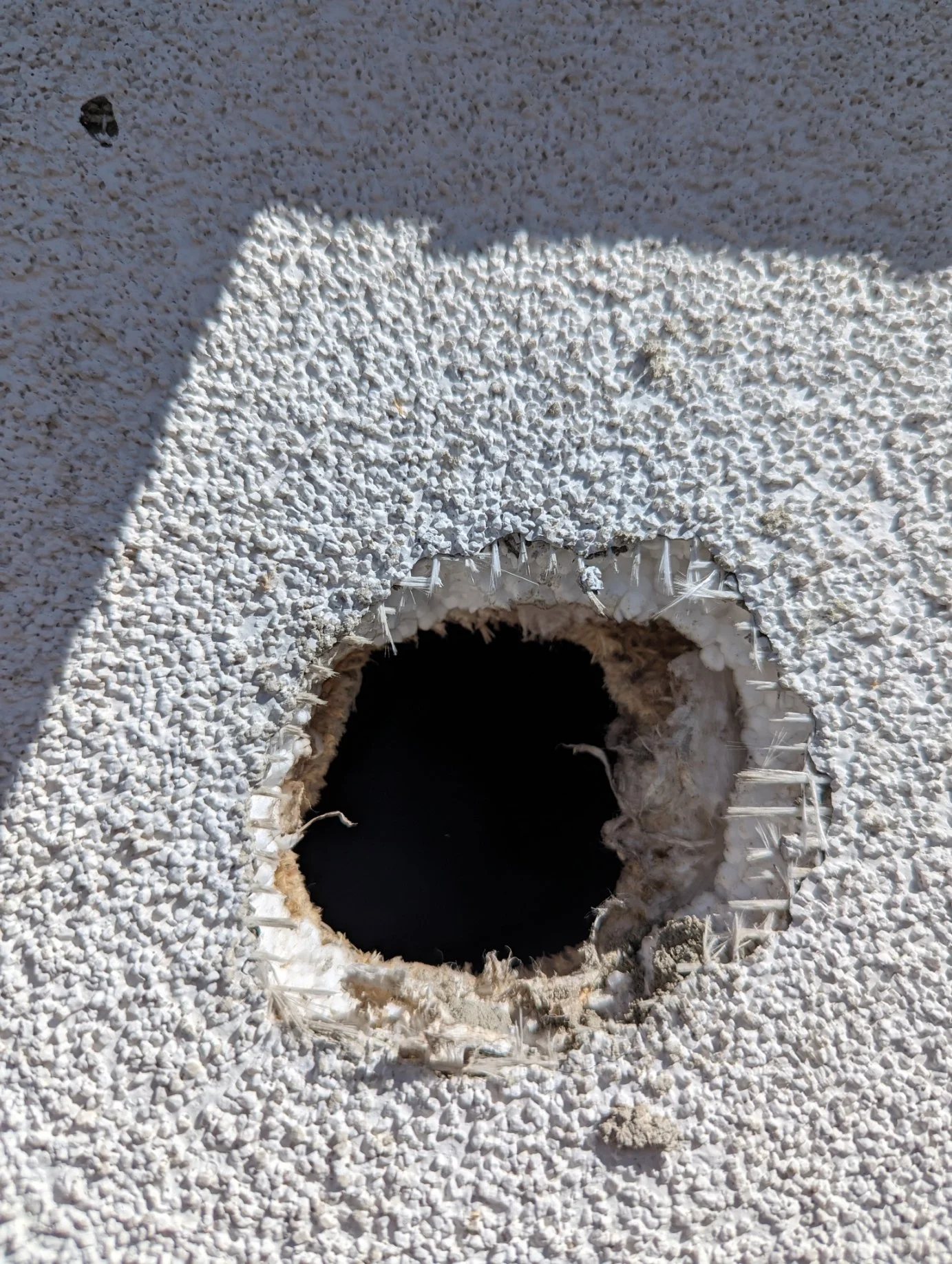 Woodpecker on EIFS exterior wall causing damage