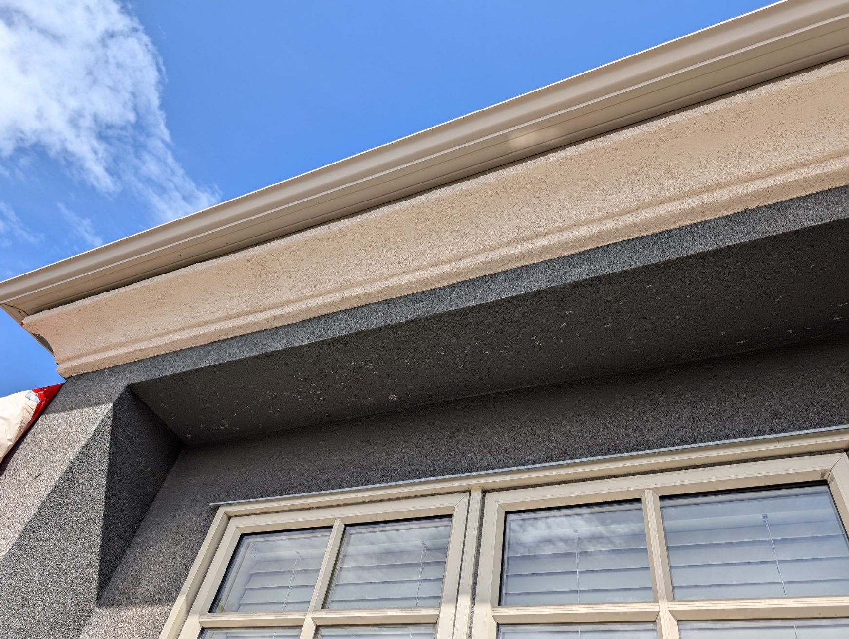 Final EIFS finish coat applied over reinforced GraphEx woodpecker protection system