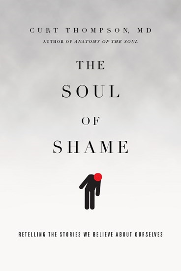 The Soul of Shame book cover