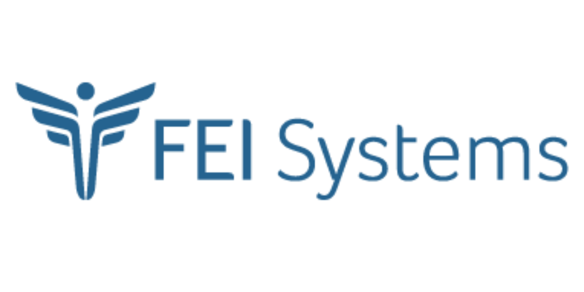 FEI Systems