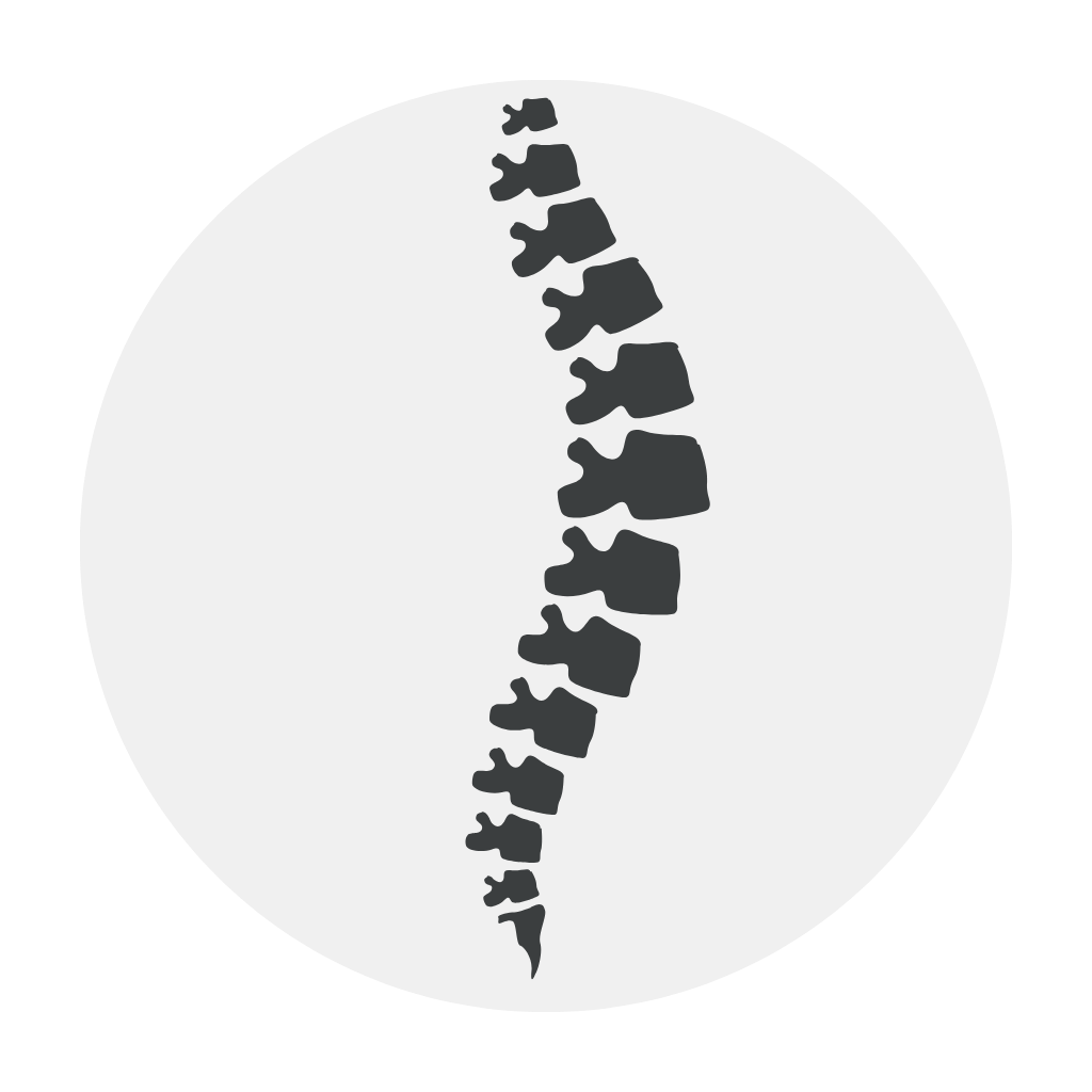 Chiropractic specialty MIPS reporting