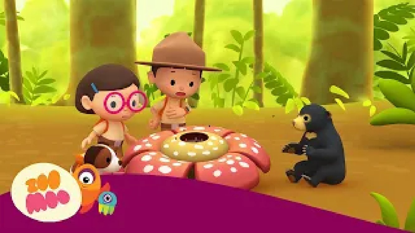 Sun Bear | Leo the Wildlife Ranger | Cartoon for Kids