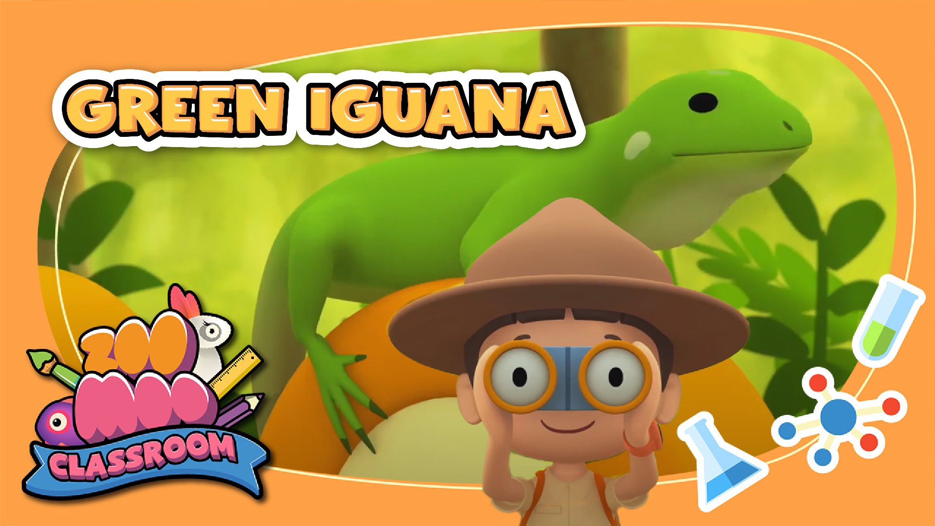 Green Iguana | Leo the Wildlife Ranger | Animal Facts for Kids