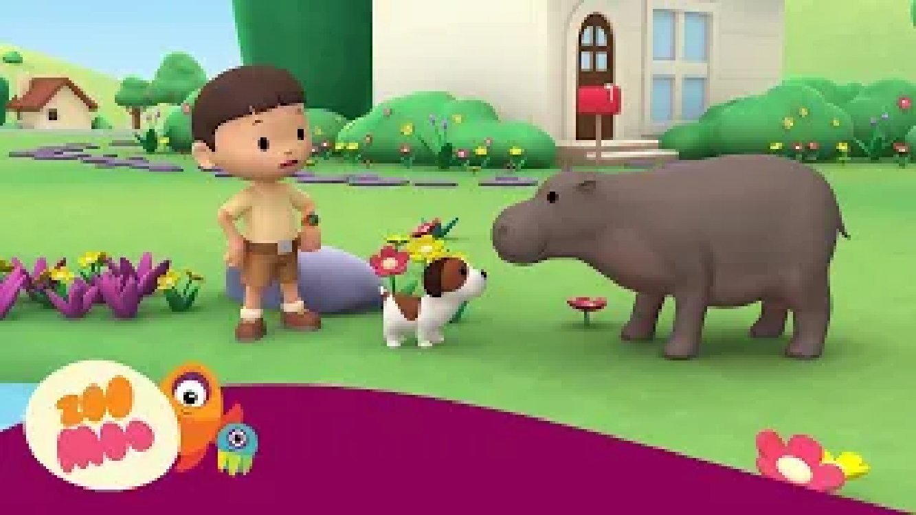 Pygmy Hippo | Leo the Wildlife Ranger | Cartoon for Kids