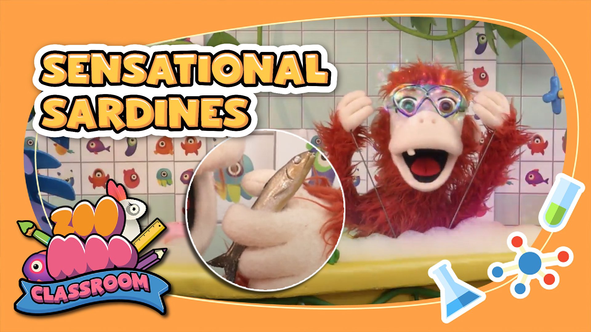 Sensational Sardines | Bathtime | Animal Facts for Kids