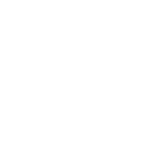 icon salvation
