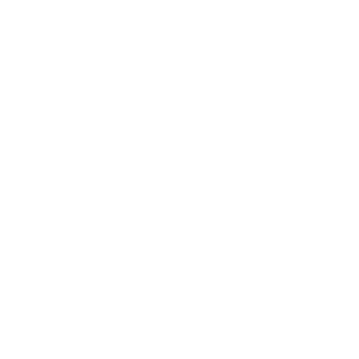 icon salvation