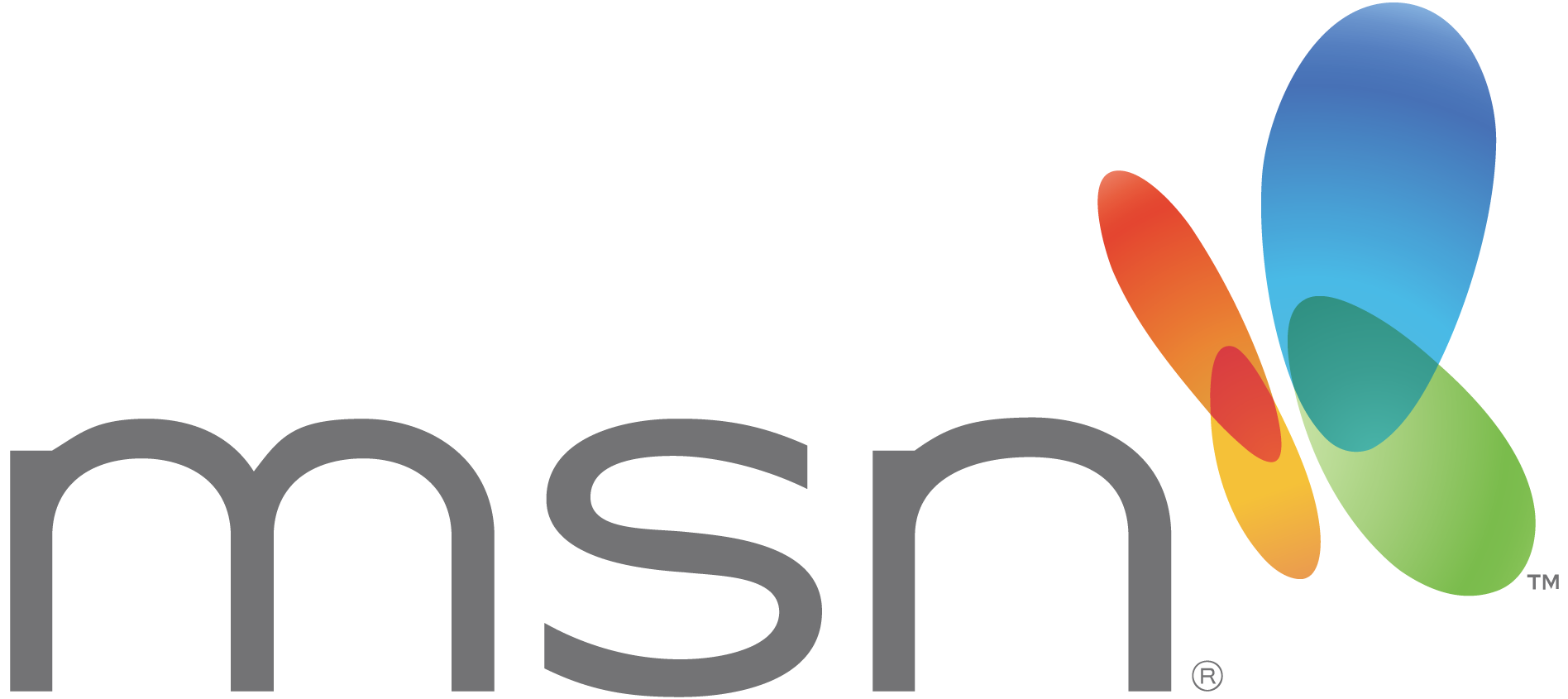 MSN logo