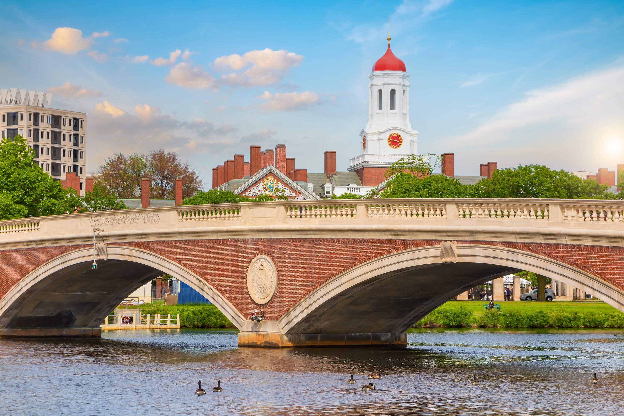 Harvard Students