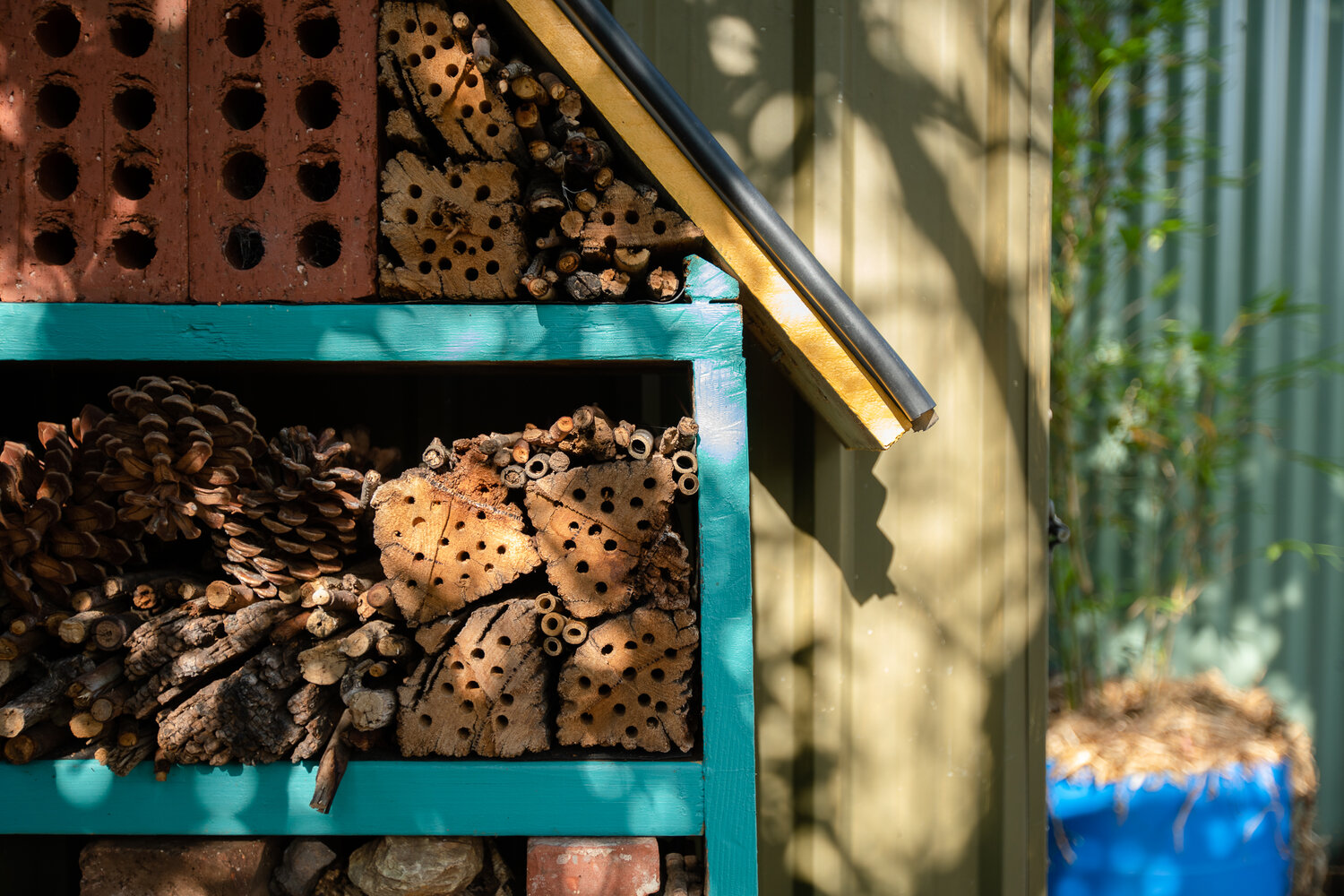 A beautiful wildlife-friendly garden with native plants and visiting butterflies