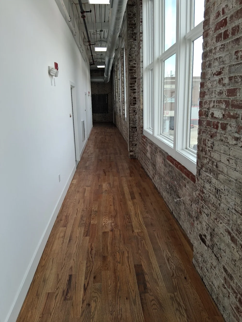 Naturally lit corridor with exposed brick and large windows at the D Street Studios Tioga Campus