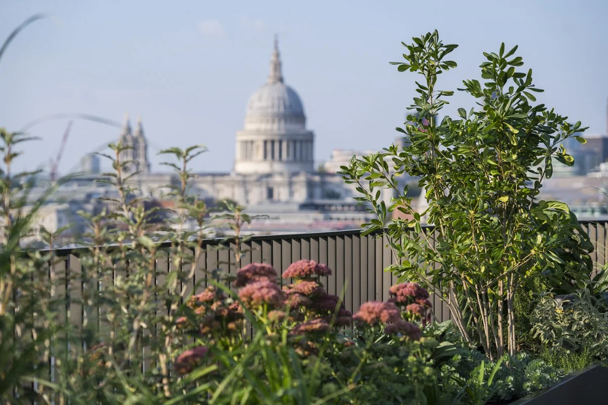 Roof Garden Design