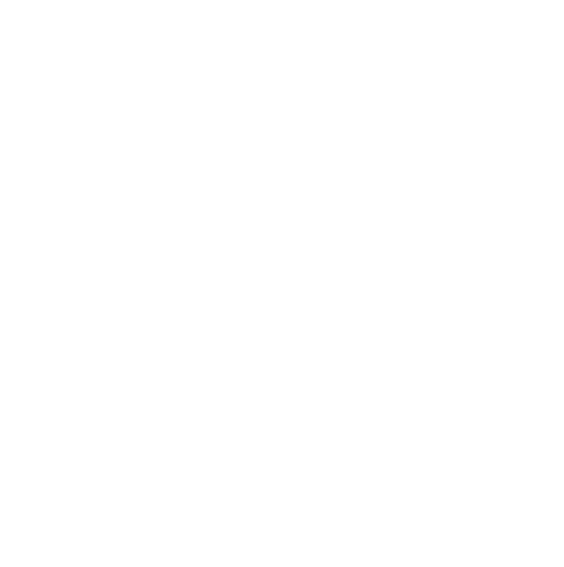 TikTok Icon