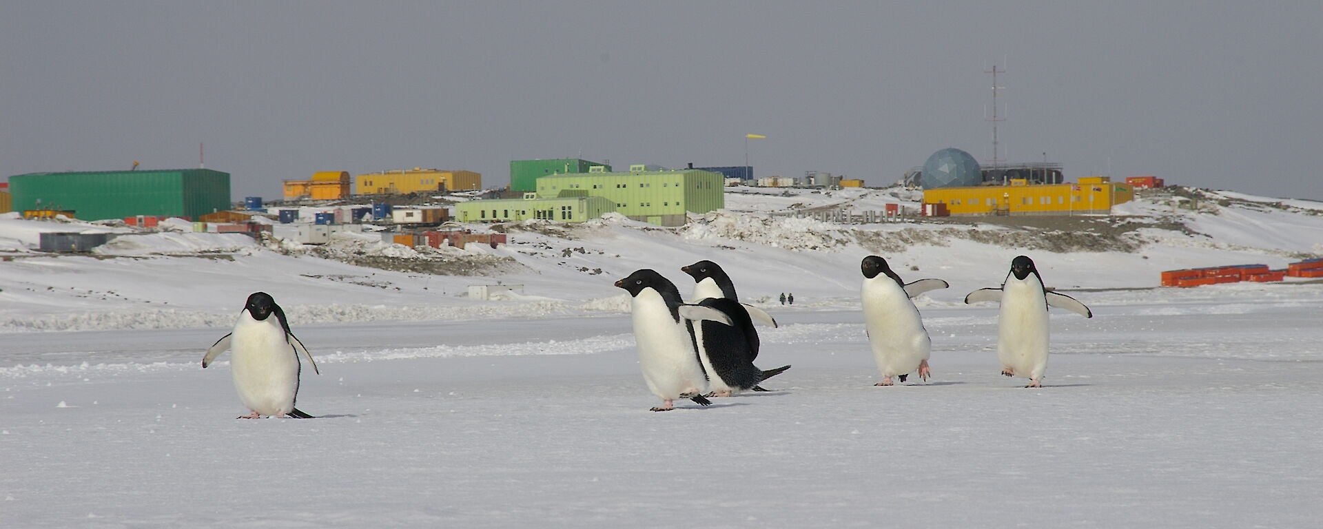 The New Antarctic Treaty