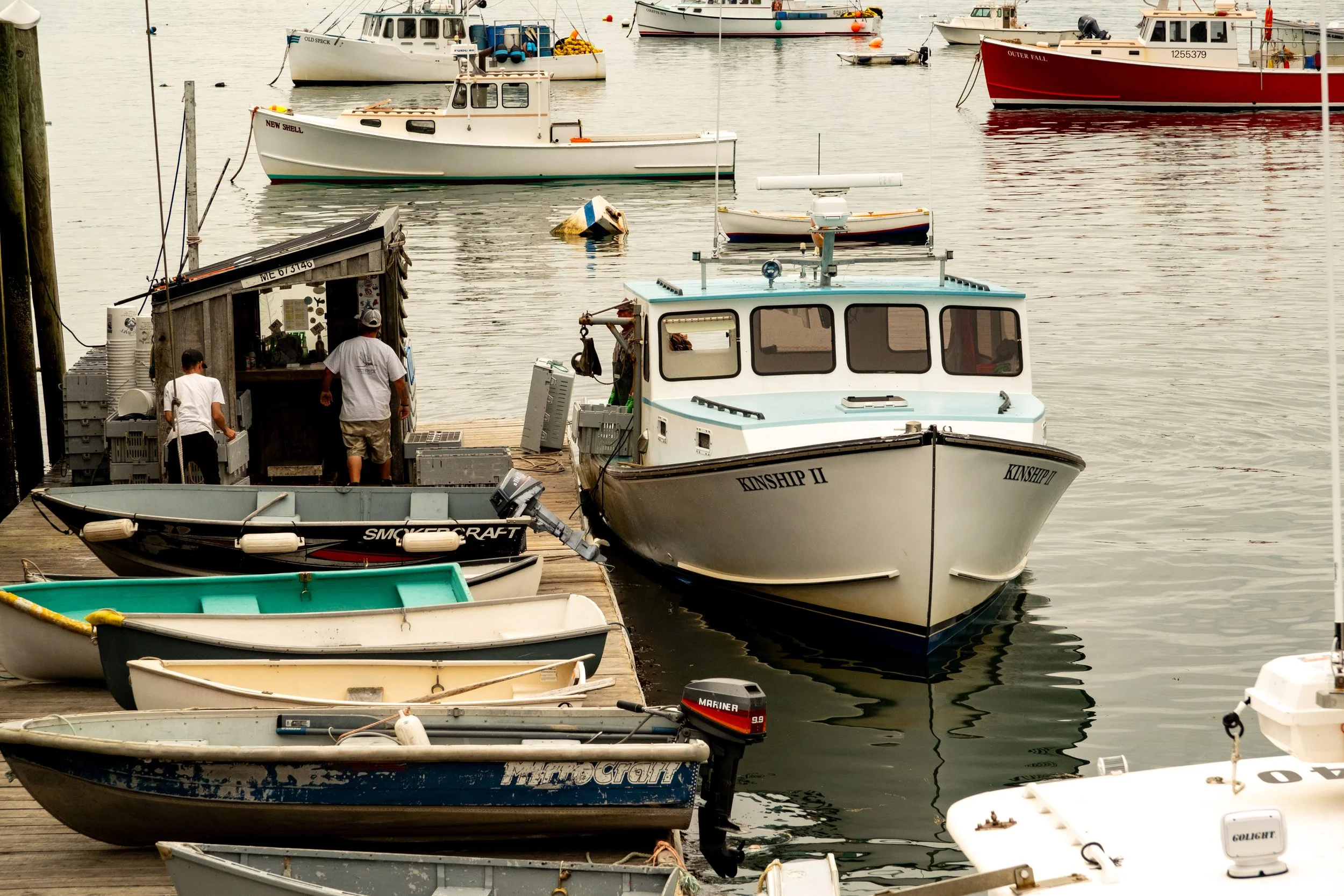 Lobster boats in Rockland harbor