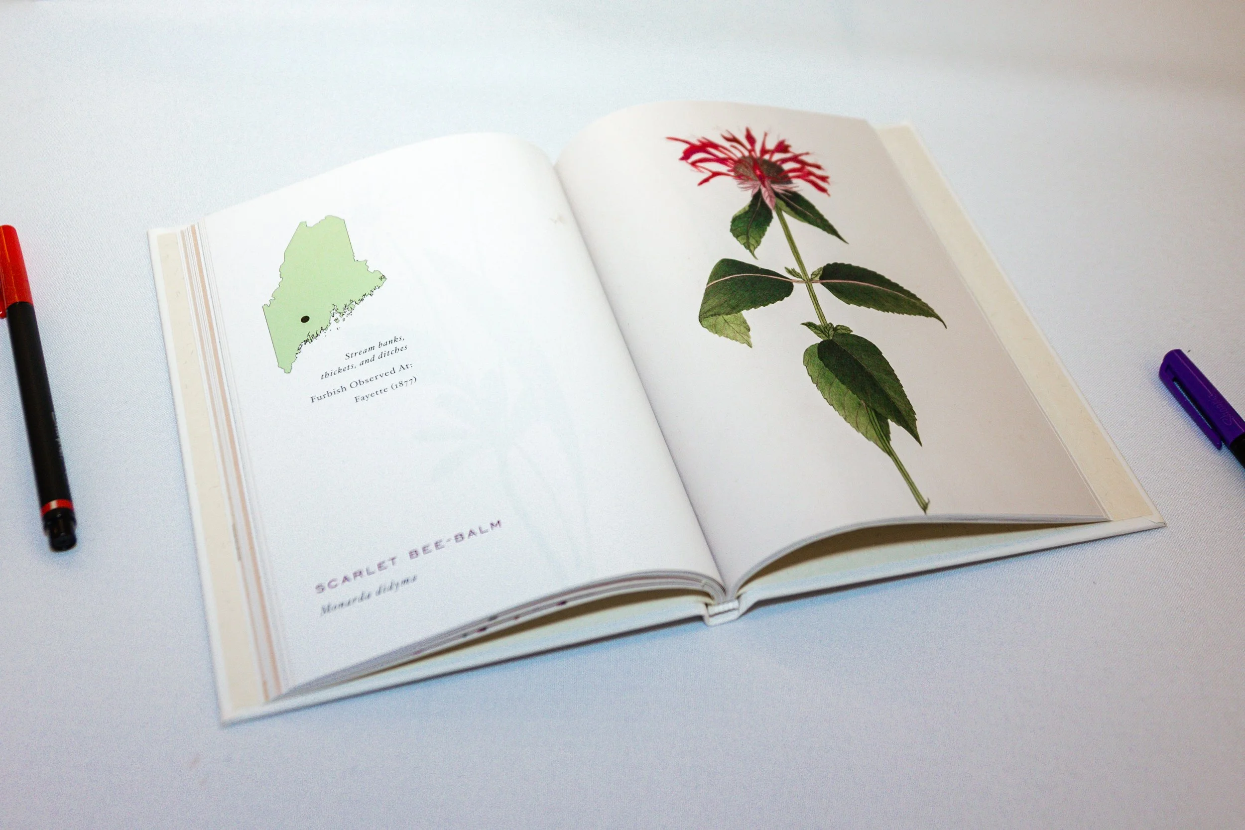 Close up of Maine botanical field guide open to scarlet bee-balm Monarda didyma wildflower illustration with Maine state map used as wedding guest book at Sebasco Resort Phippsburg Maine 2021