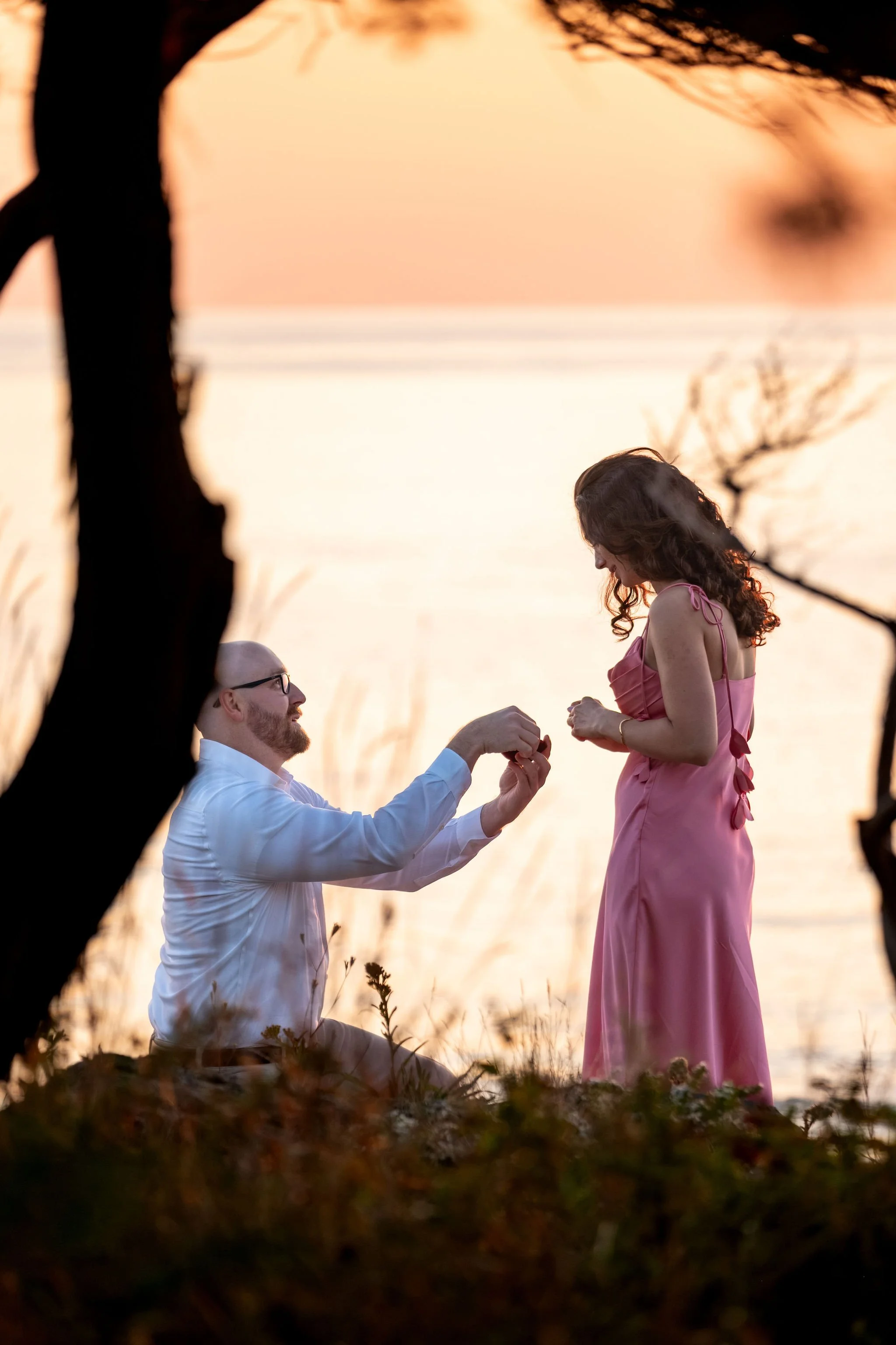 Zack down on one knee holding up the ring to Helena beside a silhouetted tree at sunrise on Marginal Way in Ogunquit Maine sunrise proposal and engagement photography VMG Productions