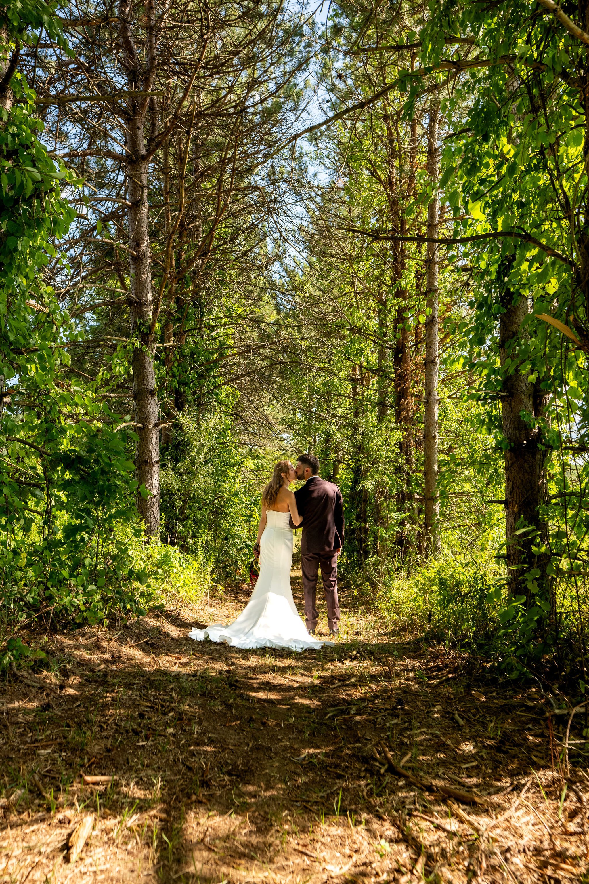 Cassidy and Chase Begin small in the frame on a long pine trail at Maple Hill Farm Inn and Conference Center in Hallowell Maine summer wedding photography VMG Productions