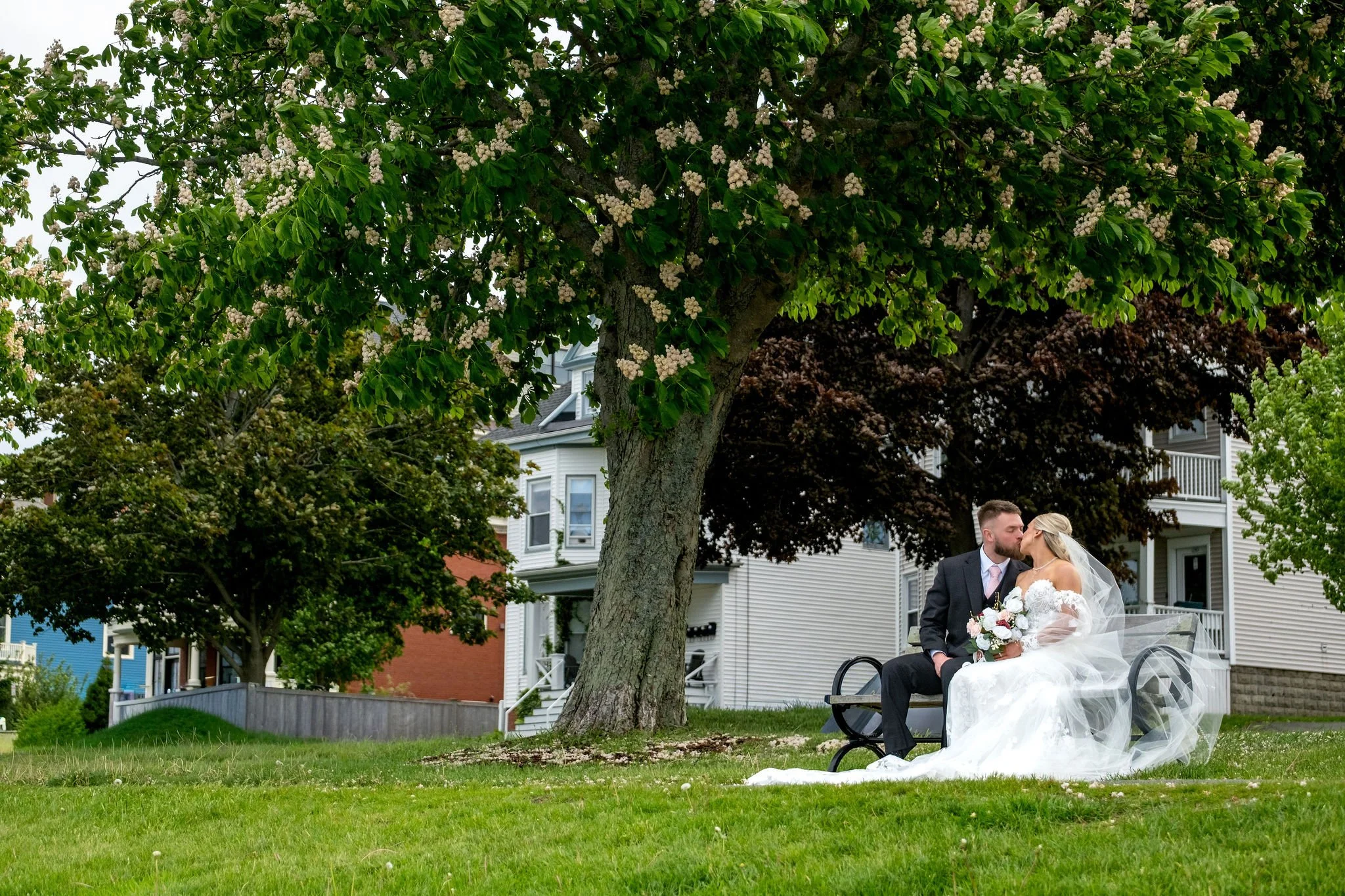 Jeremiah and Vienna wide portrait of couple seated on park bench beneath a large flowering tree at Holy Trinity Greek Orthodox Church Portland Maine spring wedding photography VMG Productions