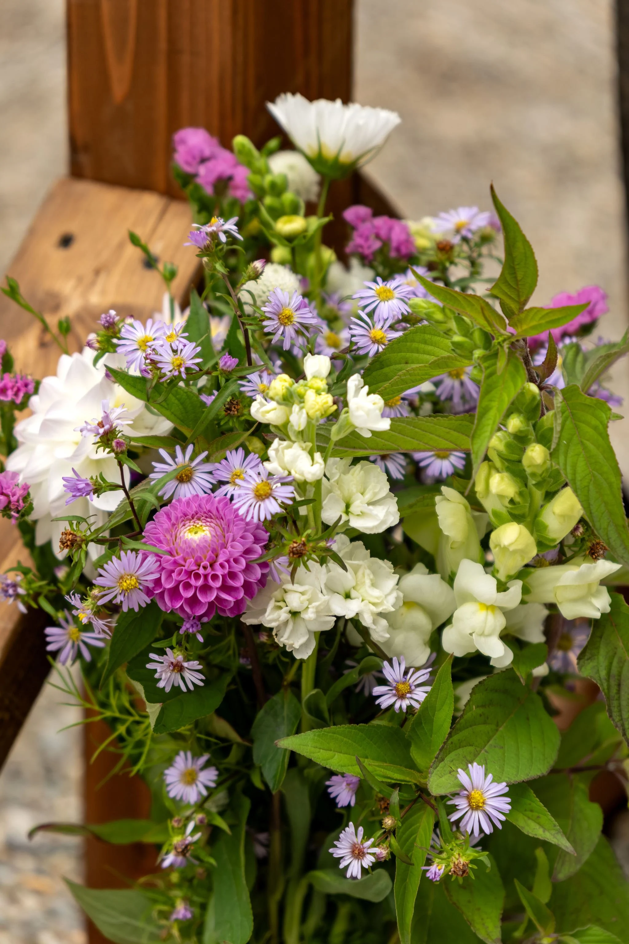 Close detail of a wildflower bouquet with purple asters, a magenta dahlia, and white snapdragons at The Cellars at Allagash Brewing Company in Portland Maine fall wedding photography VMG Productions