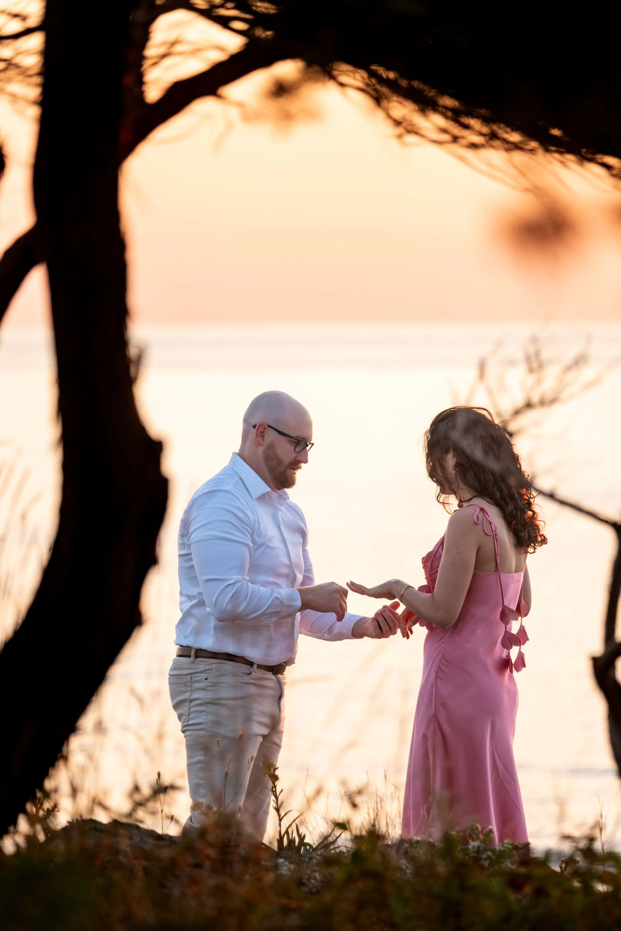 Zack and Helena looking at the ring together framed by a dark tree against the pink sky on Marginal Way in Ogunquit Maine sunrise proposal and engagement photography VMG Productions