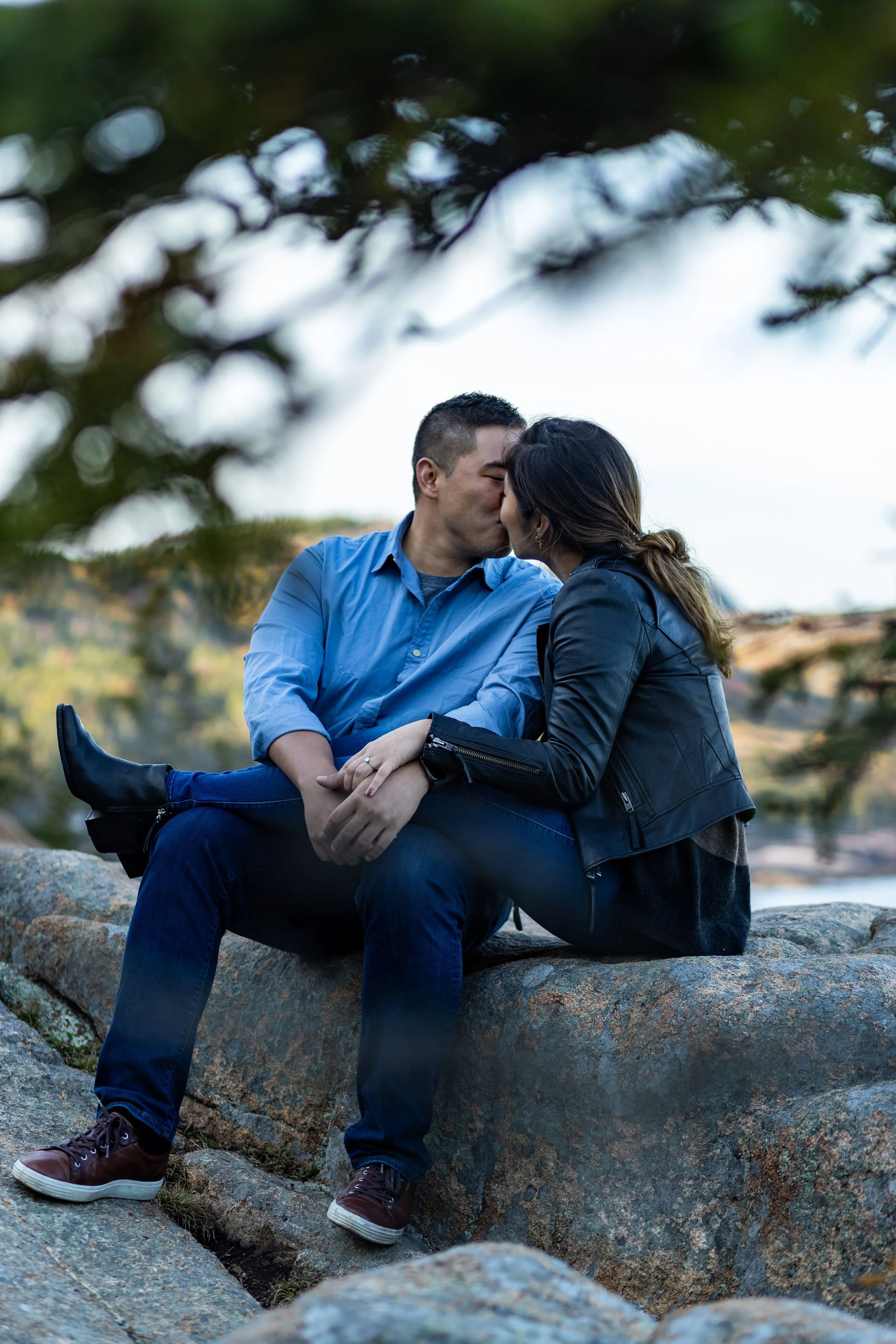 Agnes and Peter kissing sitting on coastal rocks under pine tree Acadia National Park engagement photography VMG Productions