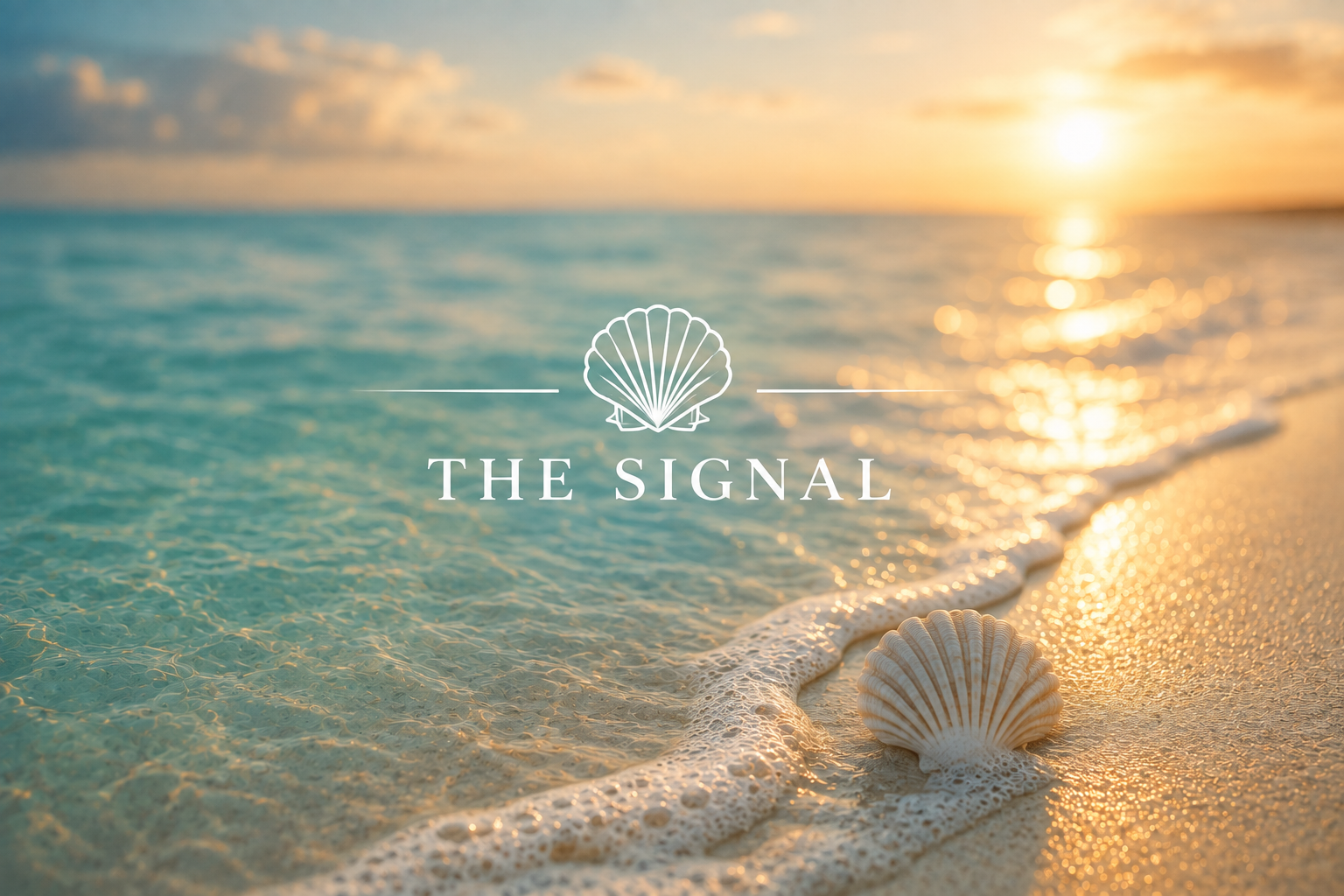 The Signal