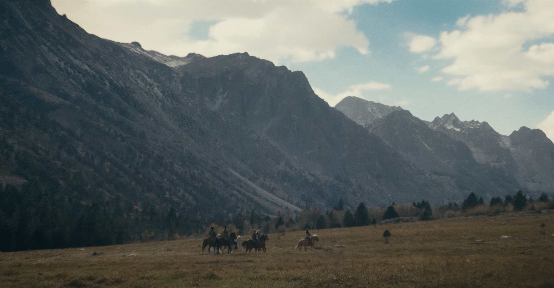 Preview of About page