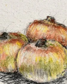 Onions (detail view), close-up of Frank Argento's Harvest Table canvas: onions drawn in warm ochre and rust