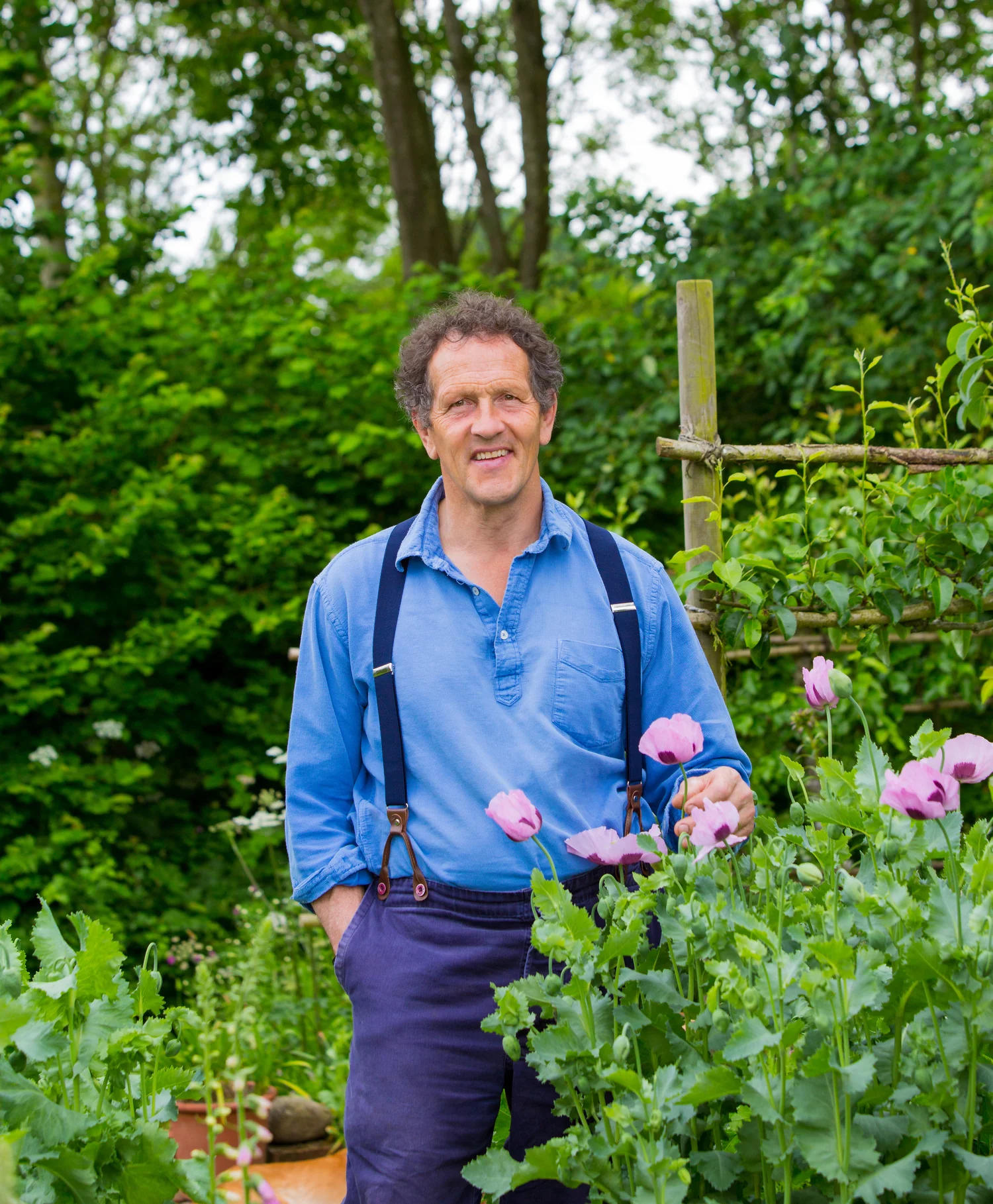 Монти дон. Монти дон мир садовода. Gardening world. Сады с монти доном. Gardeners' world.