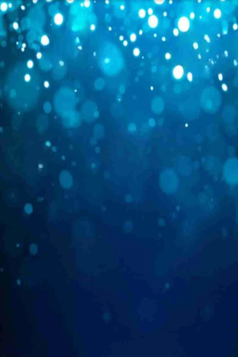 Backdrop 114 Solid Black