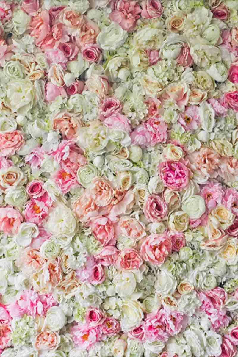 Backdrop 115 Crisp White