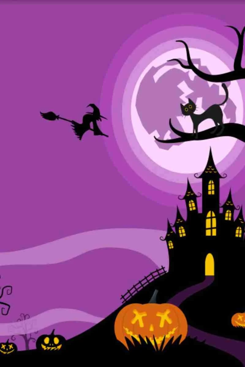 Backdrop 87 White Floral Arch