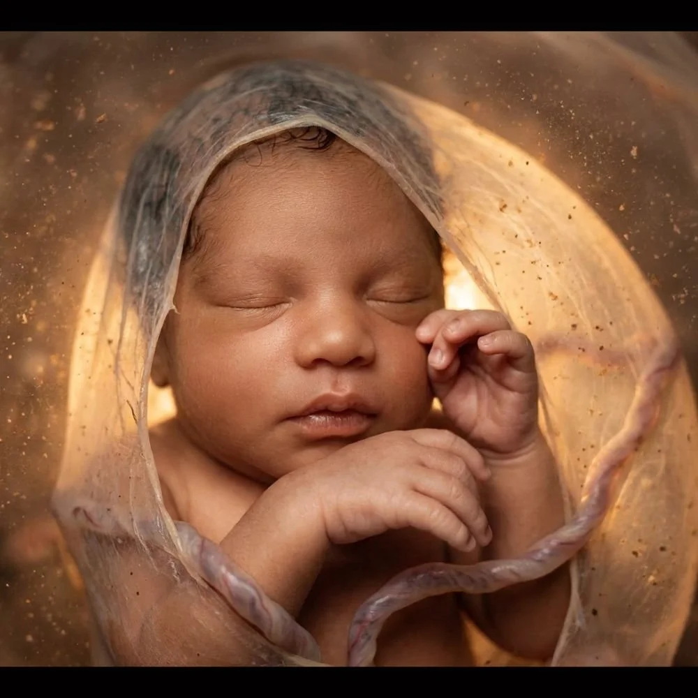 WombView baby keepsake portrait