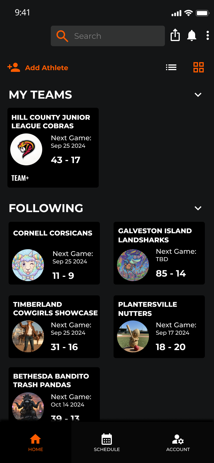 Team Profile 1