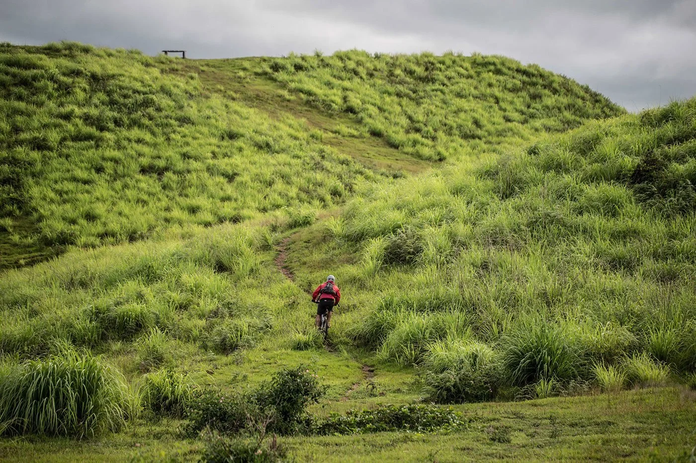 Track and Trail cycling campaign photograph