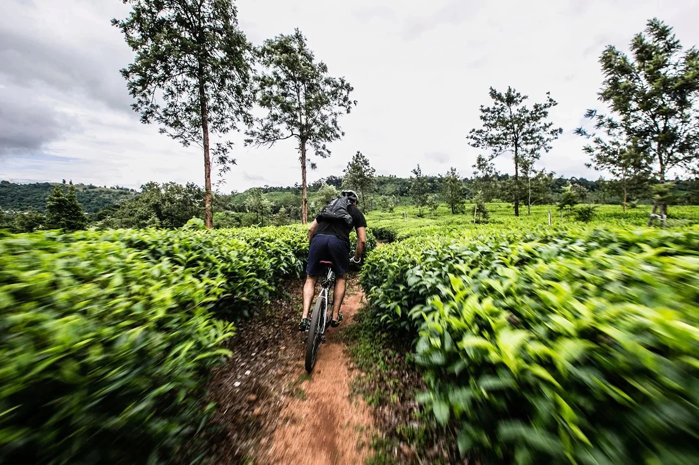 Track and Trail cycling campaign photograph