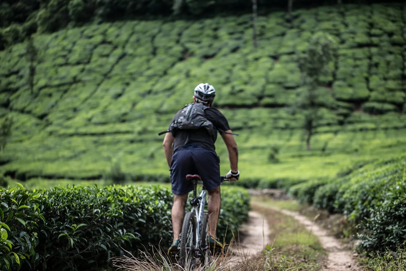 Track and Trail cycling campaign photograph