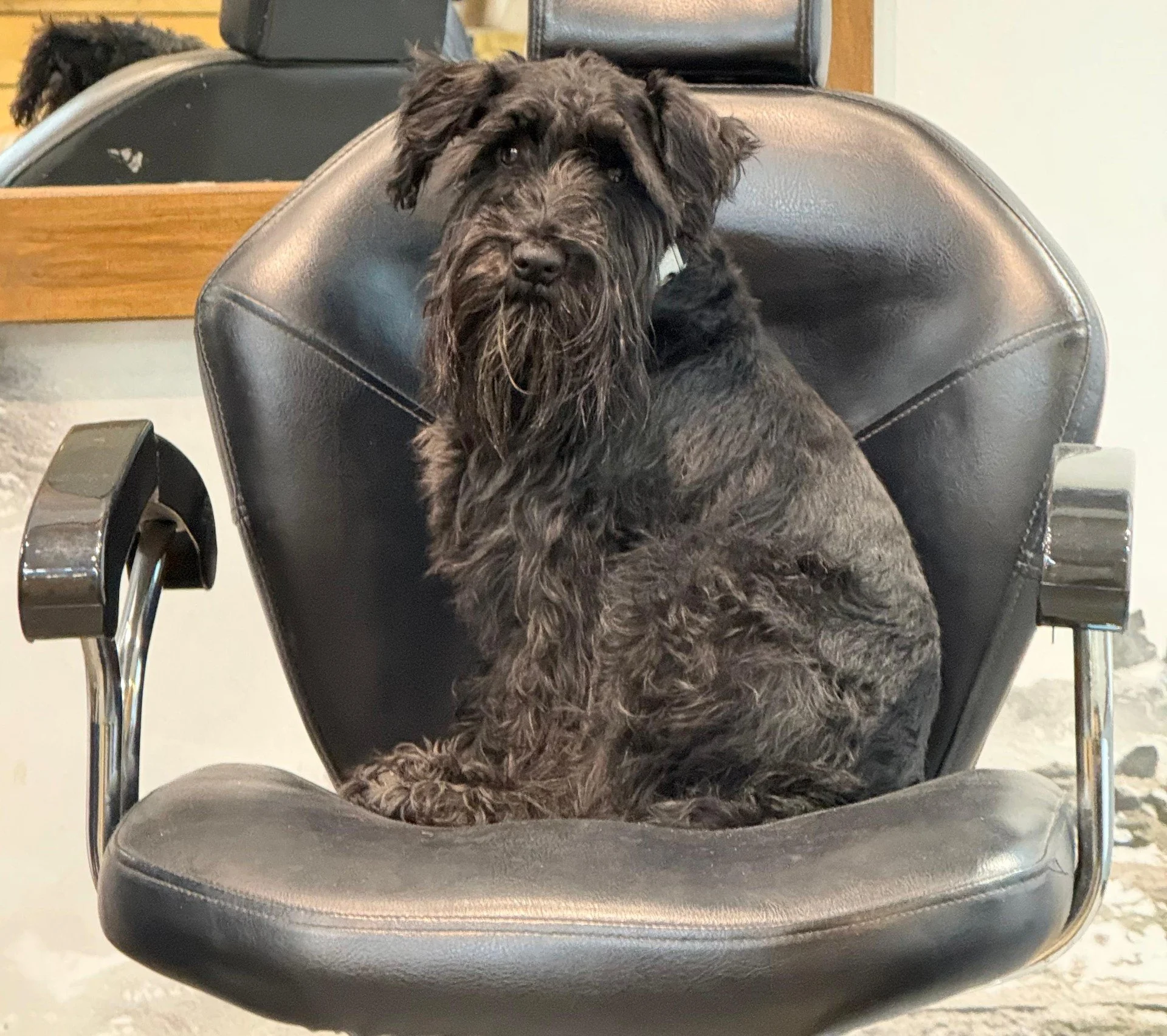 Skin fade and beard trim at ManCave Ashford