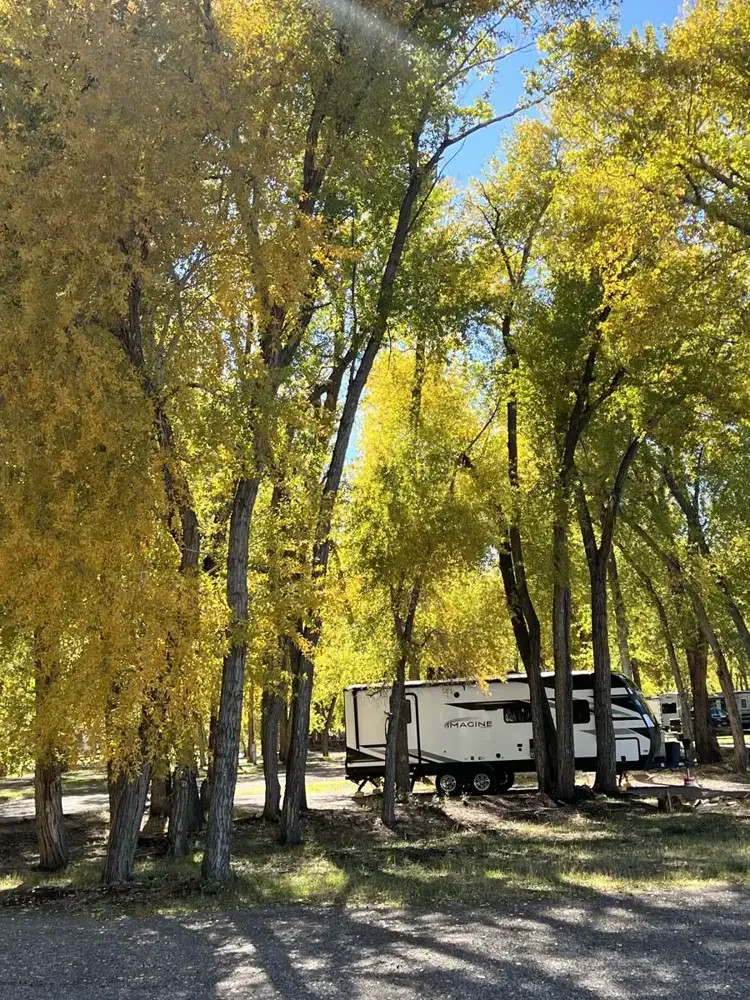 River Wood RV site area beneath autumn trees at Woods and River RV Park in Del Norte, Colorado.
