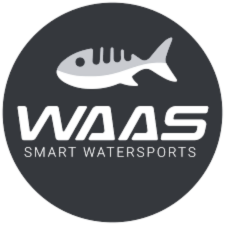 WAAS financial model case study