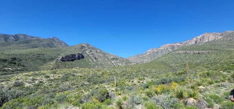 Broad desert range under blue sky
