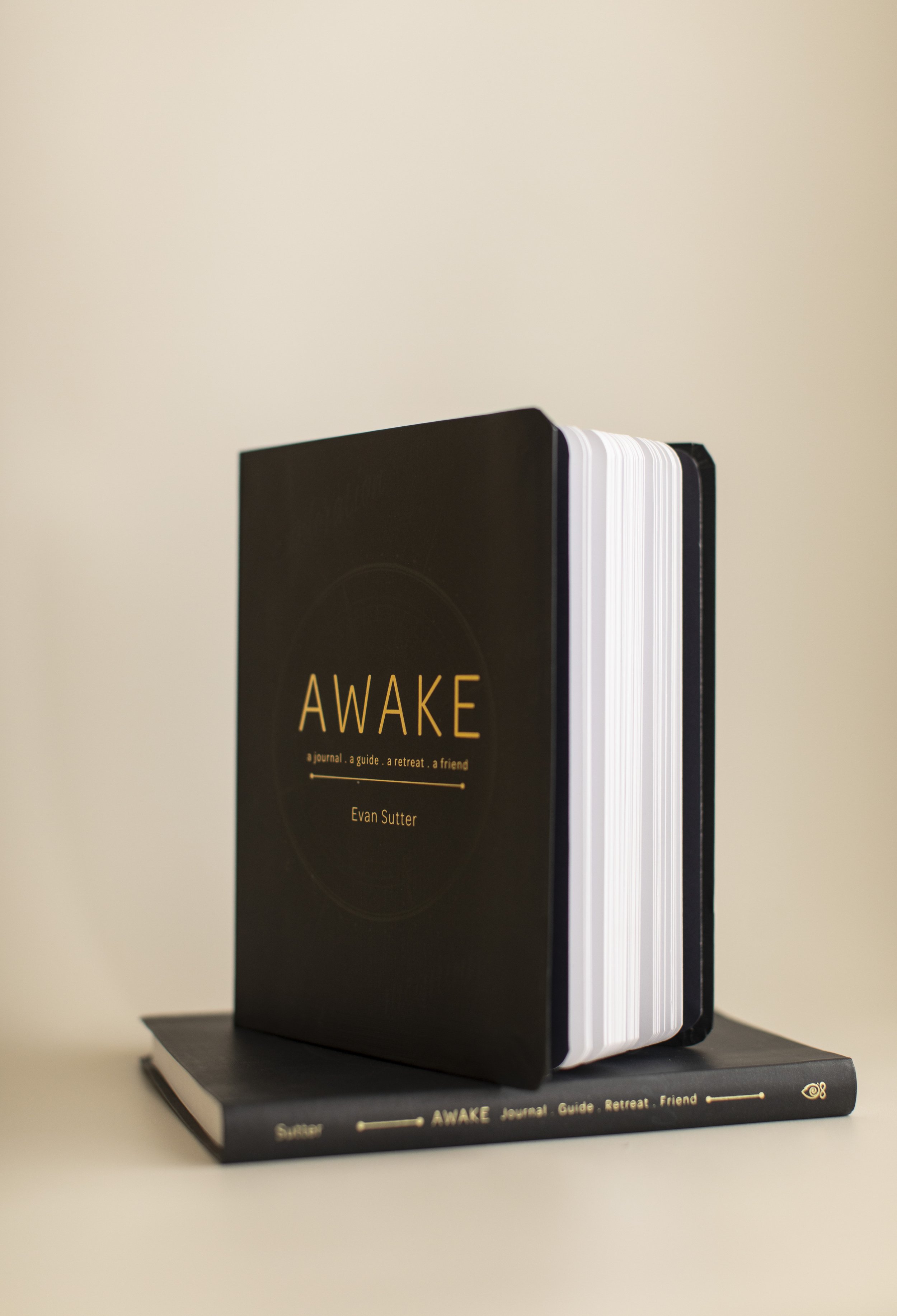 Awake Journal Cover