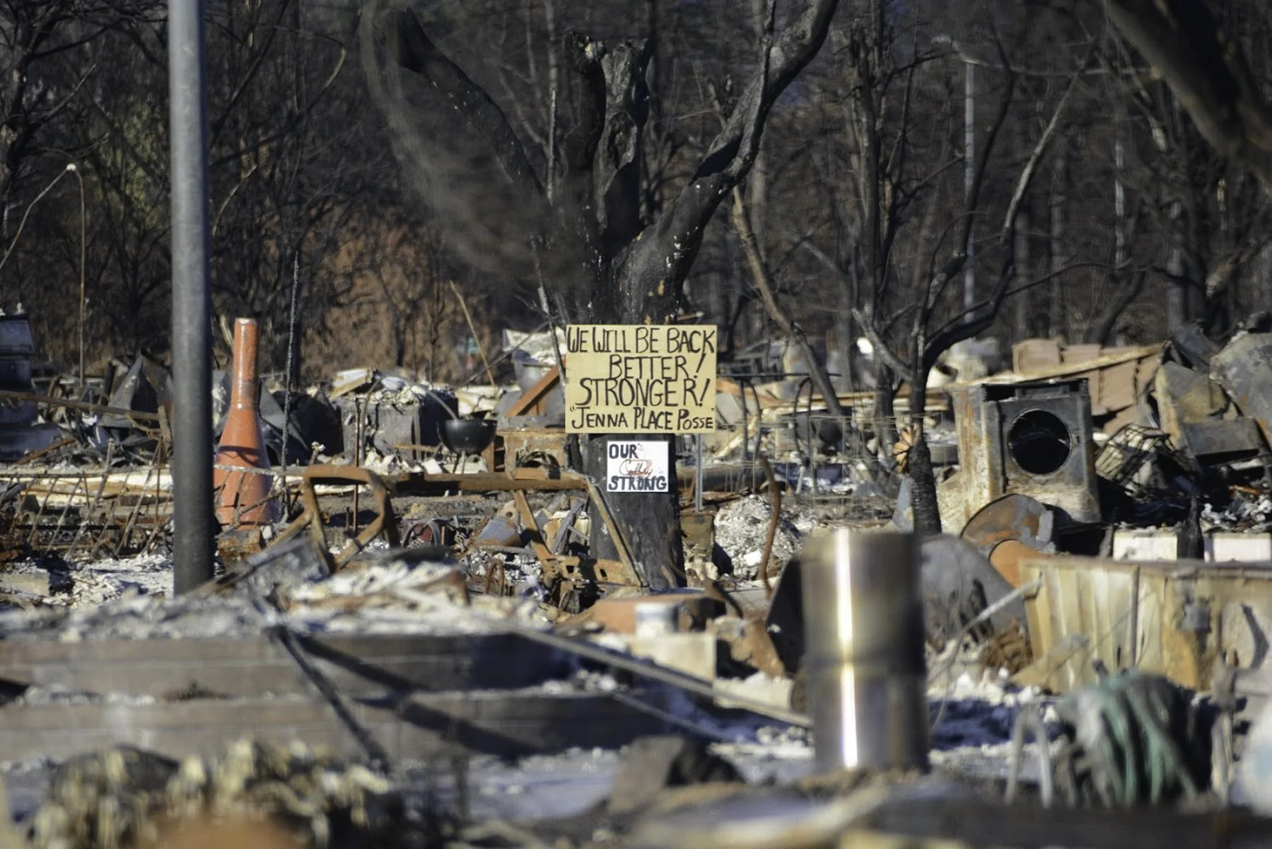 Crisis and Emergency Response