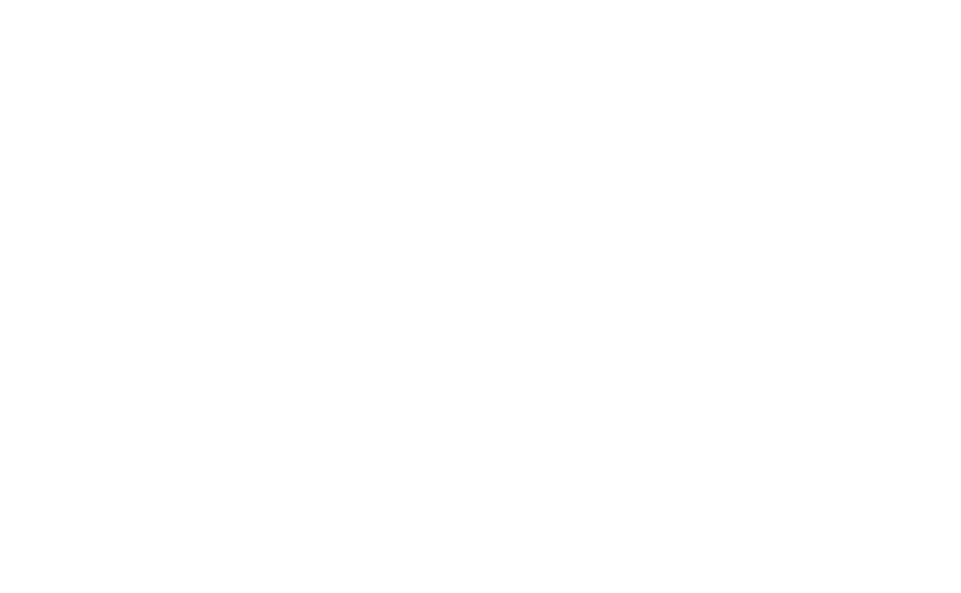 Expert Startup Advisors Lawyers Accountants I Dragon Argent