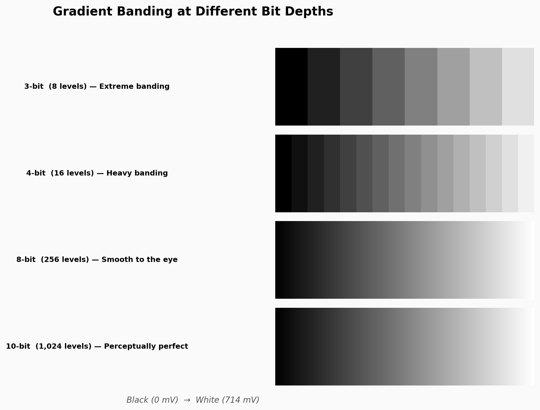 Gradient ramps rendered at different bit depths showing visible banding at low bit depths and smooth transitions at higher bit depths