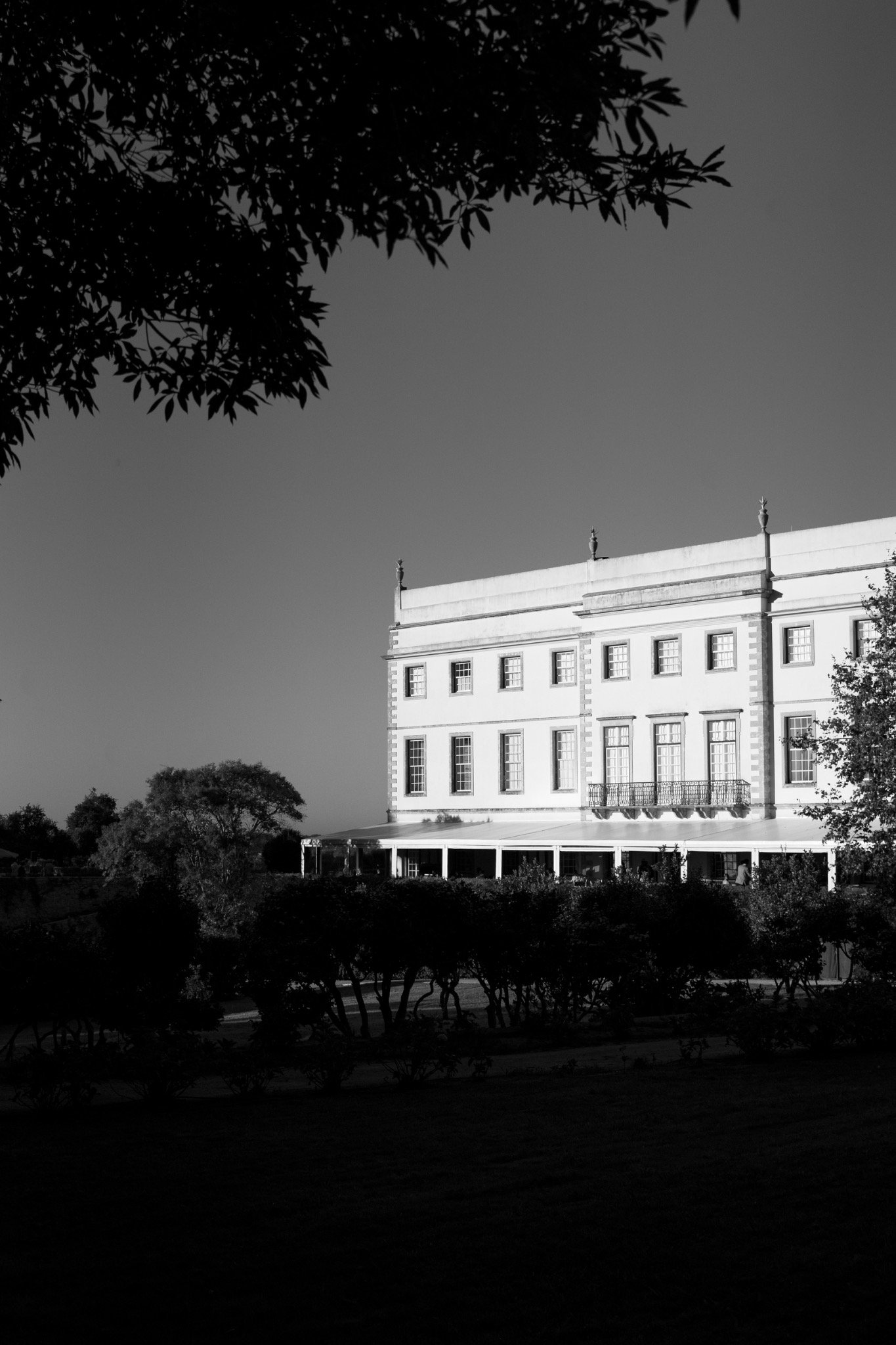 The palace façade framed by deep garden shadows in black and white