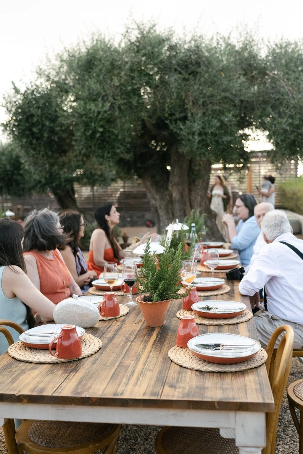 Welcome barbecue table with terracotta cups, plates and potted herbs.